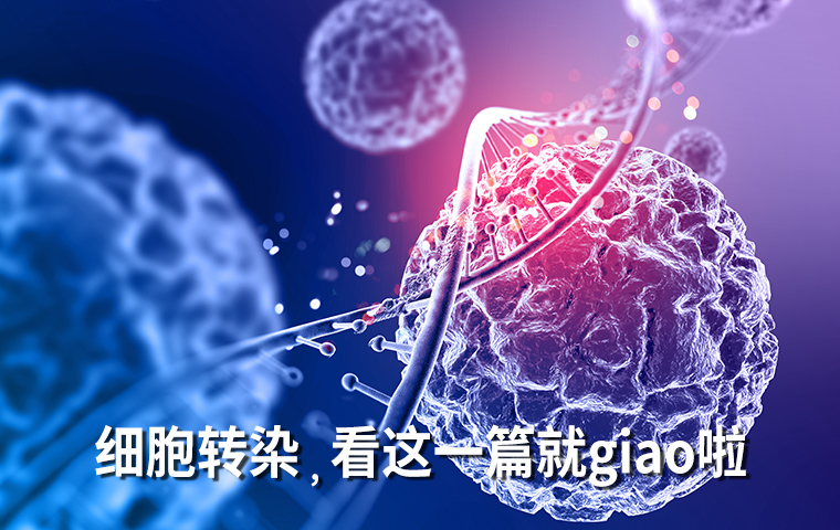 你想了解的“細(xì)胞轉(zhuǎn)染”，看這一篇就giao啦！