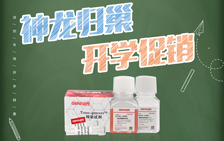 神龍歸巢，開學促銷！
