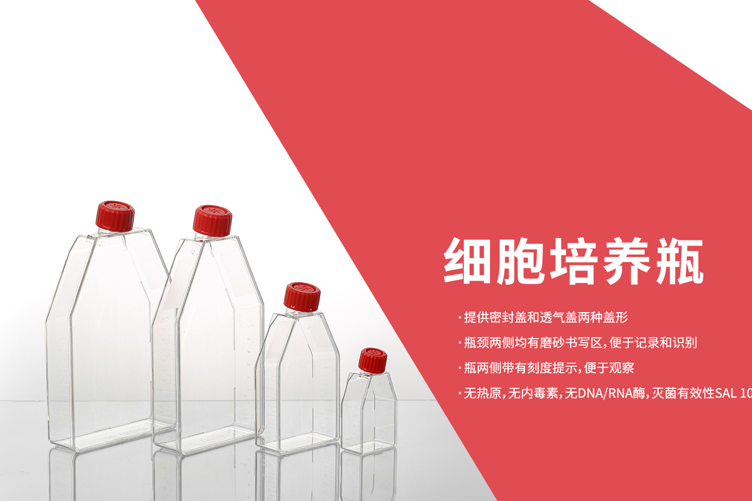 產(chǎn)品介紹 | 細(xì)胞培養(yǎng)瓶