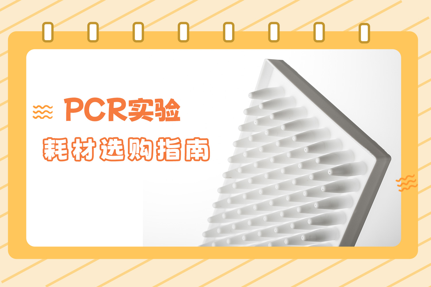 產品推薦 | PCR實驗耗材選購指南