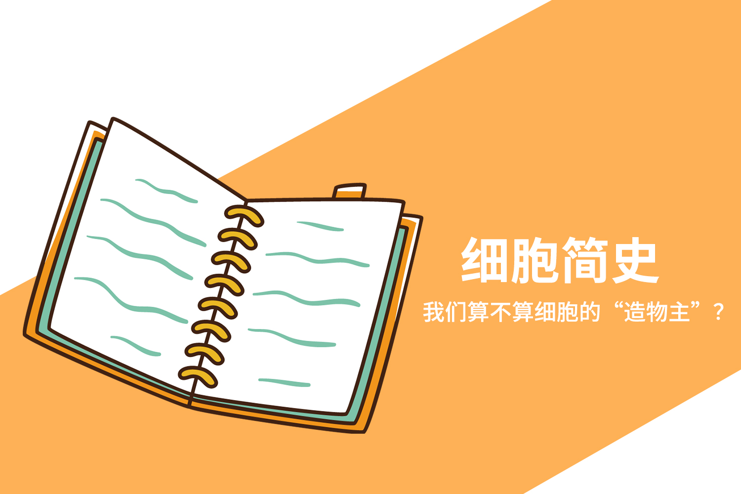 細胞簡史：我們算不算細胞的“造物主”？